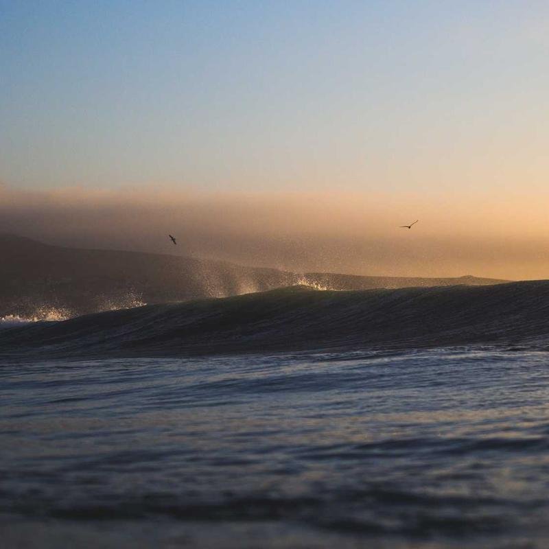 Carbon Fiber Carabiners (Pair)