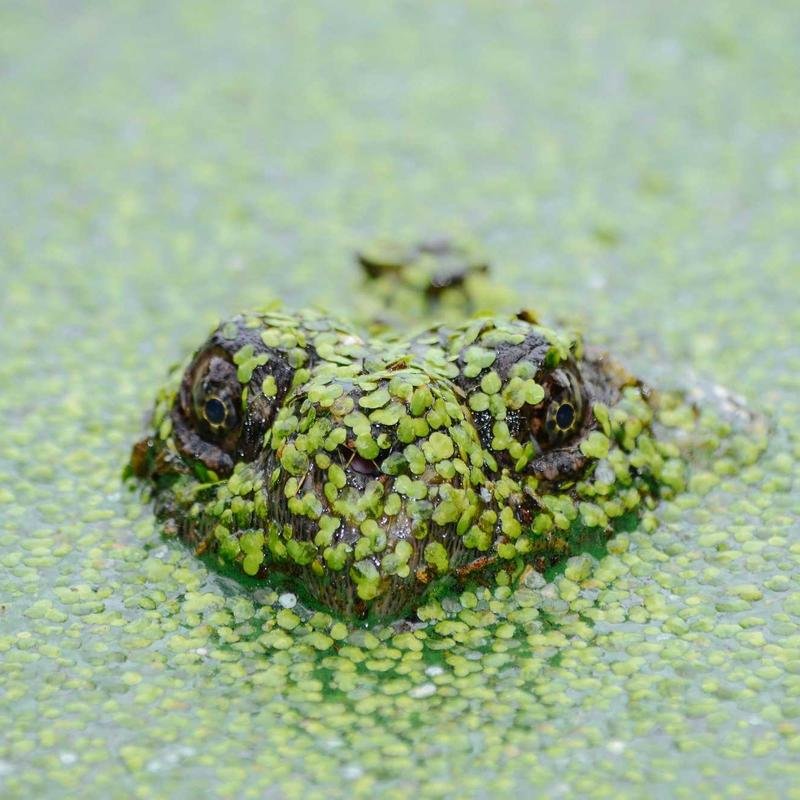 UV Protection Aviation Glasses